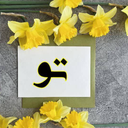 Profile picture of ‌نرگس دانشجو‌