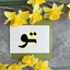 Profile picture of ‌نرگس دانشجو‌