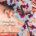 Profile picture of ‌n.r‌