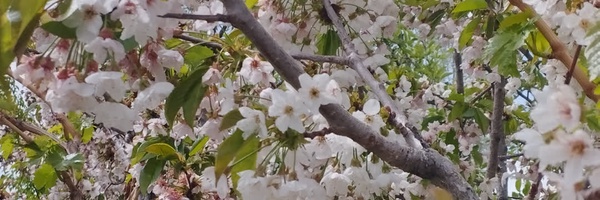 ‌حسن اناری مؤمن آبادی‌'s header picture