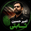 Profile picture of ‌مهدی علاپور‌