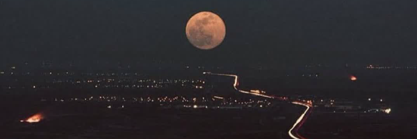 ‌محمد‌'s header picture
