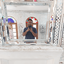 Profile picture of ‌Arash Saeedi‌