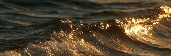 ‌قِشاء | off*‌'s header picture