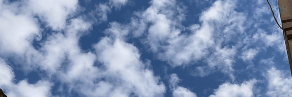 ‌غزال‌'s header picture