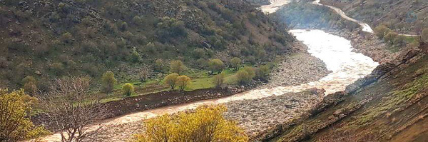 ‌Z ` Nazari‌'s header picture
