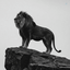 Profile picture of ‌شیر شاه‌