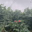 Profile picture of ‌نسرین اصفهانی‌