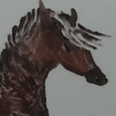 Profile picture of ‌میانه رو‌