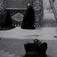 مَفـهوت