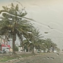 Profile picture of ‌حامد فیض‌