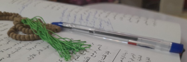 ‌Seyedali‌'s header picture