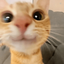 Profile picture of ‌nunu‌