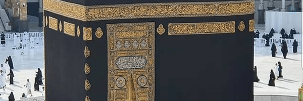 ‌حسن منصوریان‌'s header picture