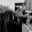 Profile picture of ‌Fatemeh Mohammadi‌