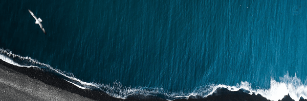 ‌احمد بومری‌'s header picture
