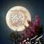 Profile picture of ‌منتظرِ آستان عشق 📿‌