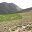 Profile picture of ‌عاشق طبیعت‌