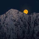 Profile picture of ‌مقهور‌