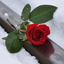 Profile picture of ‌H Por‌