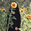 Profile picture of ‌فاطمه امیری‌