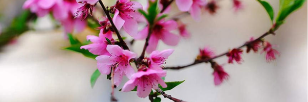 ‌فاطمه زمانی‌'s header picture