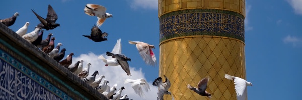 ‌یا امام رضا علیه‌السلام‌'s header picture