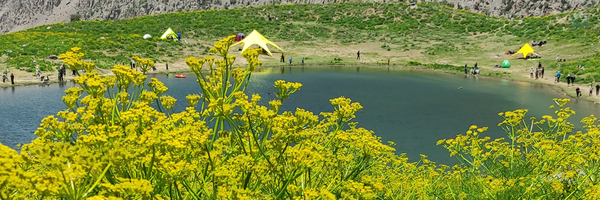 ‌Ali Khodarahmi‌'s header picture
