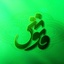 Profile picture of ‌فانوس‌