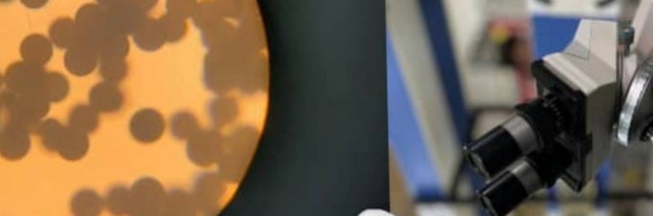 ‌بنت الـعـــــرب‌'s header picture