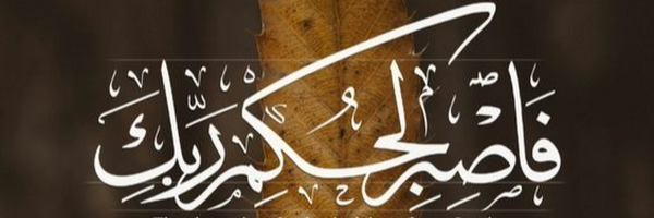 ‌اقای پولادی 🇮🇷‌'s header picture