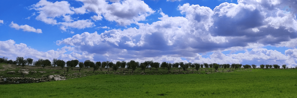 ‌مهدی رستمی‌'s header picture