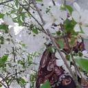Profile picture of ‌بهار انتظار‌