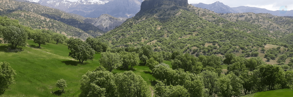 ‌سیدرضا موسوی‌'s header picture
