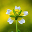Profile picture of ‌Mike Anderson‌