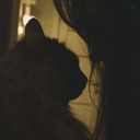 Profile picture of ‌.Z.Z.[off]‌