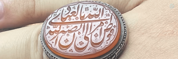 ‌سیدعلی رضوی‌'s header picture