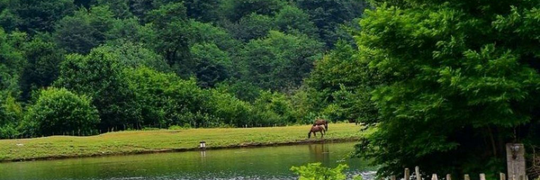‌مجید مهدی‌'s header picture