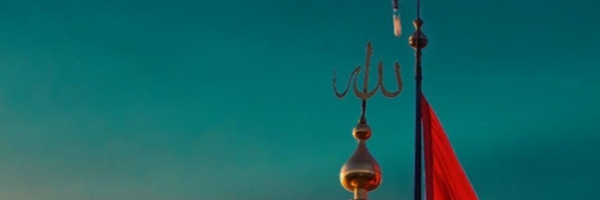 ‌تی تاب طلایی‌'s header picture