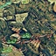 Profile picture of ‌سرباز گمنام‌