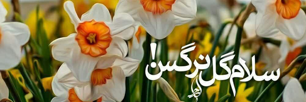 ‌محمد فراهانی‌'s header picture