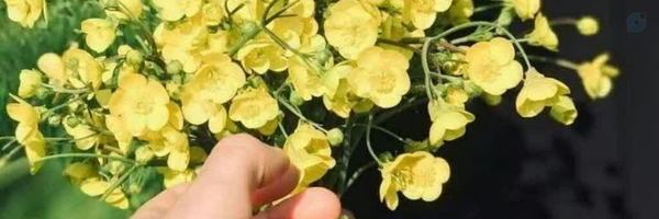‌Zeinab So‌'s header picture