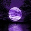 Profile picture of ‌Matin‌