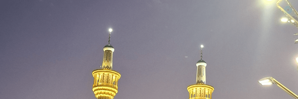 ‌سیما محمدی‌'s header picture