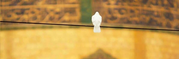 ‌حامد خواجه‌'s header picture