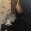 Profile picture of ‌'مبیـنا خآنـوم☫'‌