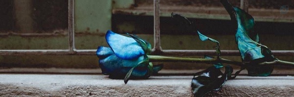 ‌آوٰات‌'s header picture