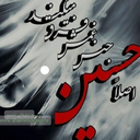 Profile picture of ‌ترنم میردهقان‌