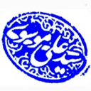 Profile picture of ‌سید ولایتمدار‌