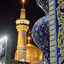 Profile picture of ‌زهرا سادات جزایری پور‌